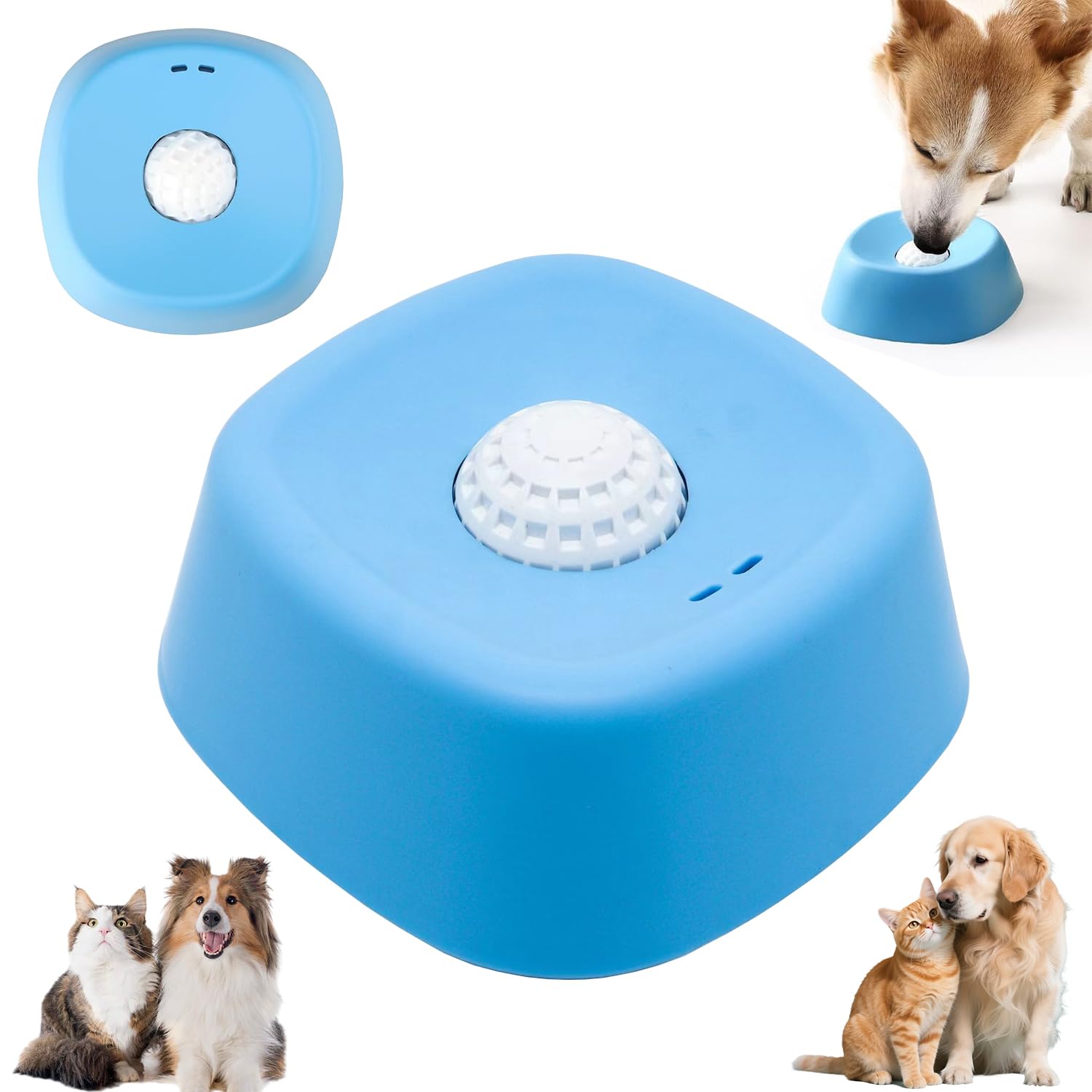 qode interactive strata